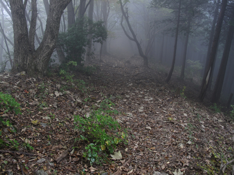 20151021hike (214)